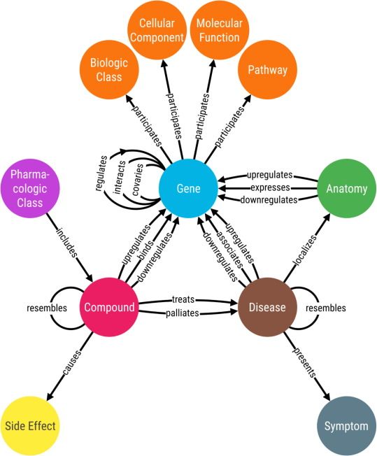 Biomedical entity-relation schema