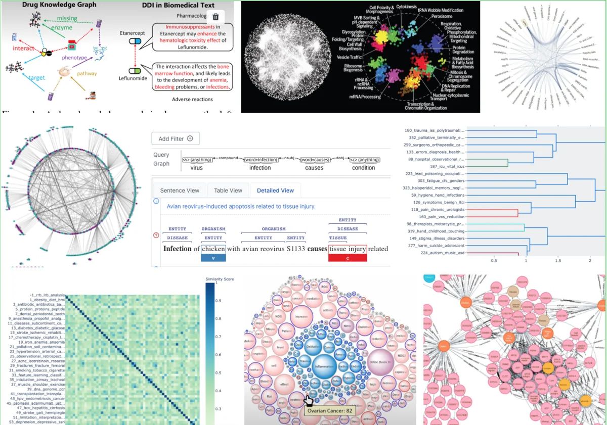 Knowledge extraction interfaces