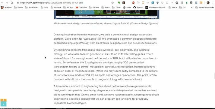 LUPA - Browser Extension
