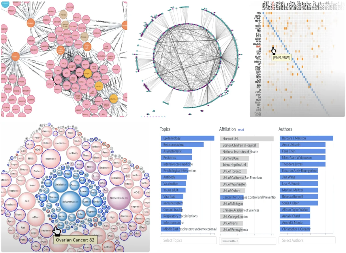 Visualization interface