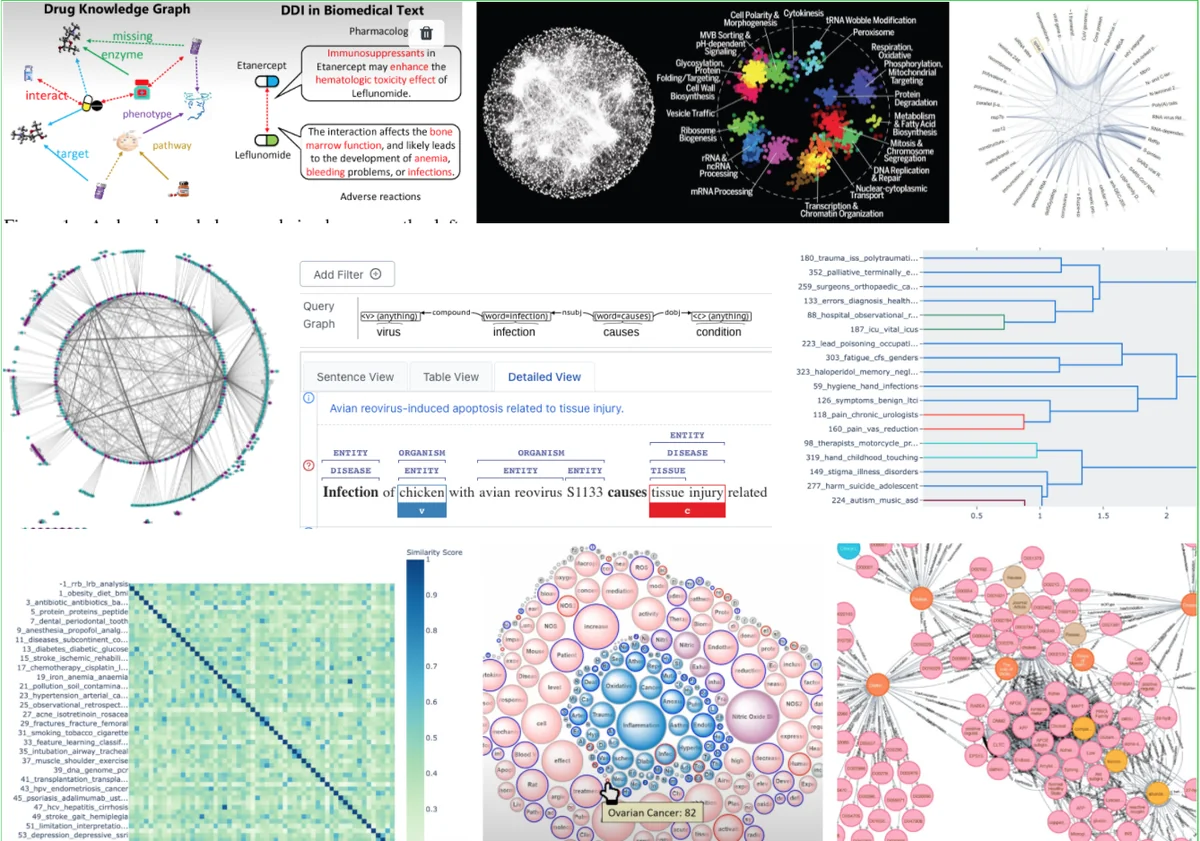 Knowledge extraction interfaces
