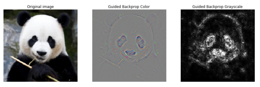 Neural network visualization